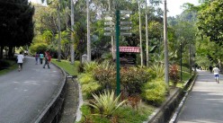 Penang Botanical Gardens.