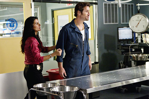 Matthew Del Negro  in "Rizolli and Isles"