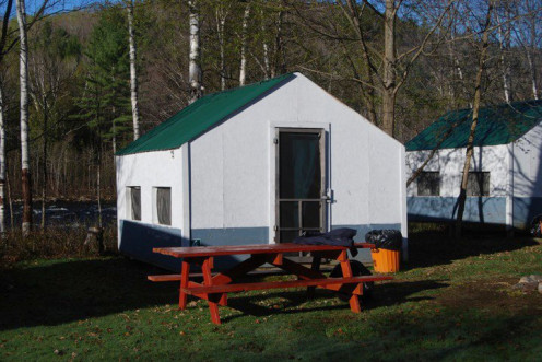 2010