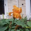 ATH07 profile image