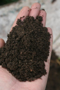 How to Make Perfect Compost
