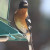 Black-headed grosbeak (Pheucticus melanocephalus) on feeder. At 7000 ft, eastern side of Sierra Nevada, California. Black-headed grosbeak (Pheucticus melanocephalus) on feeder. At 7000 ft, eastern side of Sierra Nevada, California.