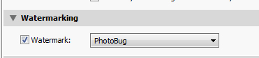 Adding a watermark in Lightroom