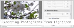 Exporting Photographs from Lightroom