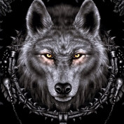 Raynecke profile image
