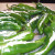 The Peppers are prepared and ready for the grill. The Peppers are prepared and ready for the grill.
