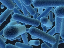 The evolution of bacteria is outpacing our ability to research new antibiotics