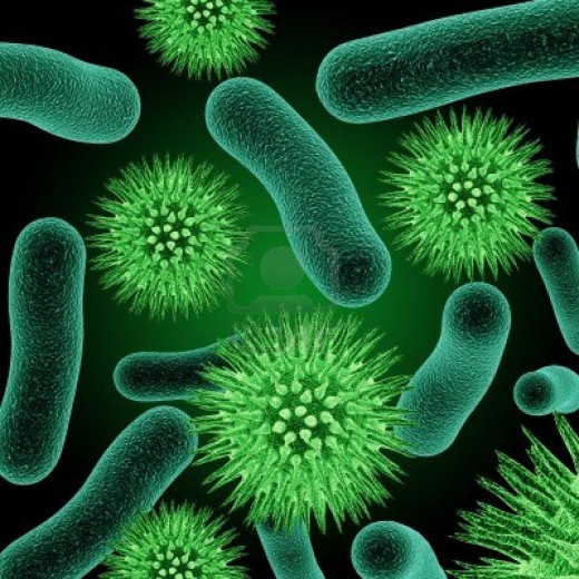 The over prescription and use of antibiotics has promoted the evolution of resistant bacteria
