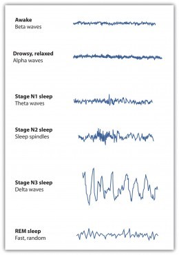 Sleep - Why is it so important?