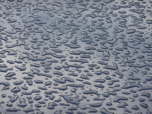 Water Beads on Hydrophobic Surfaces