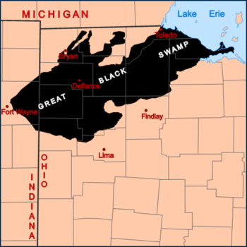 The Great Black Swamp land in Northwest Ohio and eastern Indiana around 1800.