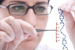 Will Genetic Engineering Change Humanity?