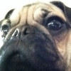 Girliescorner0 profile image