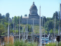 U.S. Downtowns: Decline or Re-Birth?