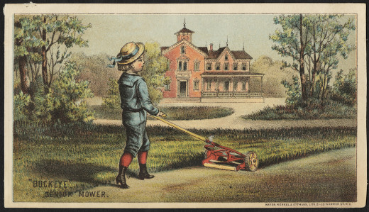 Set up a mowing schedule. Keep your cool season grasses around 3 to 3.5 inches in height. Never cut off more than 1/4 of the blade at each mow.