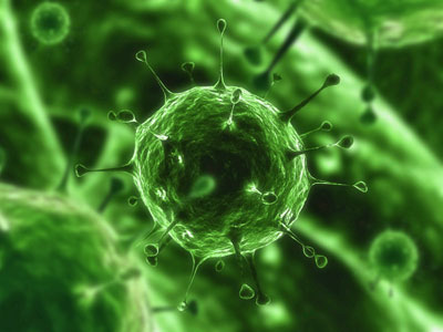 Viruses and bacteria are the main disease causing organisms.