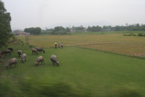 Age old scene from the window of the train