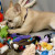 Of course, there's a chance your dog will become a toy hoarder - like my own Teddy.