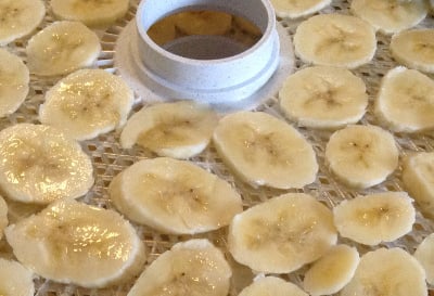 Sliced bananas, ready for drying