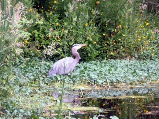 You never know what you might see after a change of scenery.