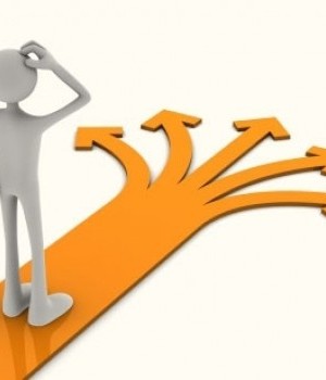 How to Choose the Right Program to Invest?