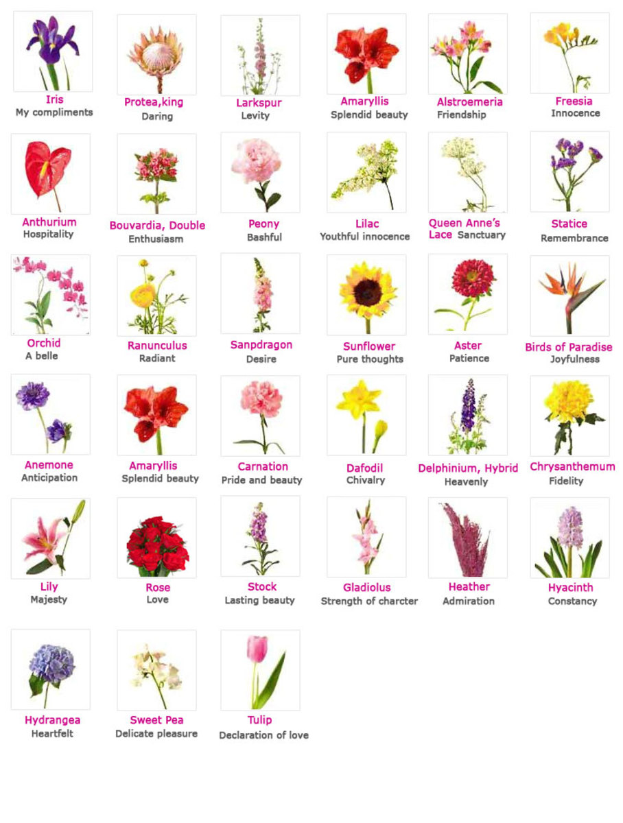 Flowers, Their Meanings, And Which Ones NOT To Give Your Valentine ...