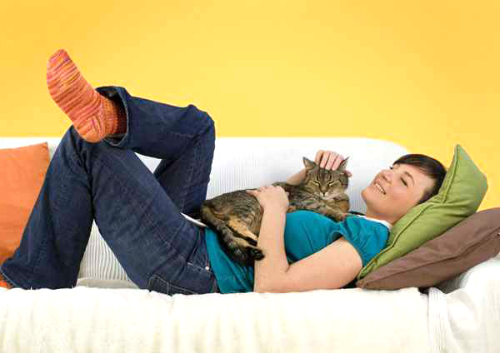 Snuggle up on the sofa with your partner or a four-legged friend