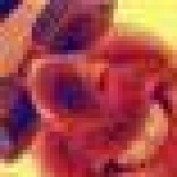 shopbright profile image