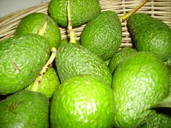 The Avocado Fruit