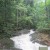 The Holy Spirit River that flows from the rainforest The Holy Spirit River that flows from the rainforest