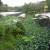 Aibonito flower homes Aibonito flower homes