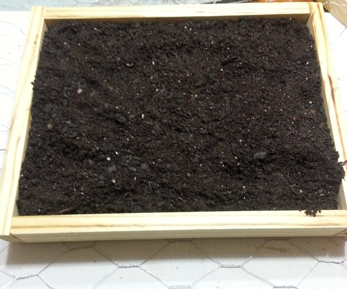 Adding Soil to Planter Box
