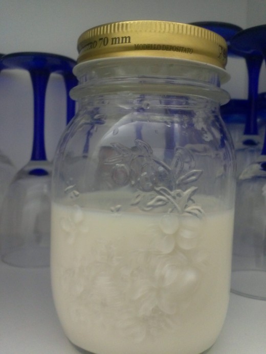 Grow Kefir in the dark. 