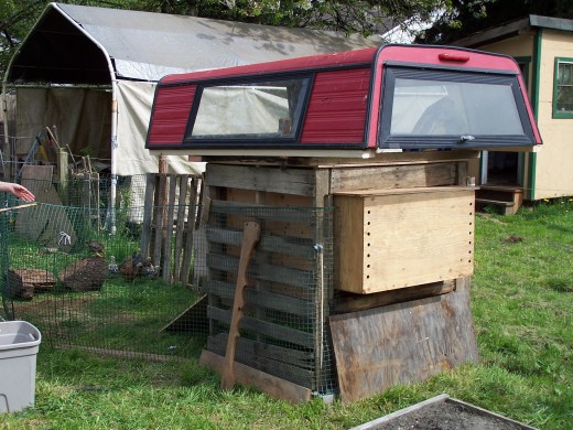 Chicken coop made from pallets