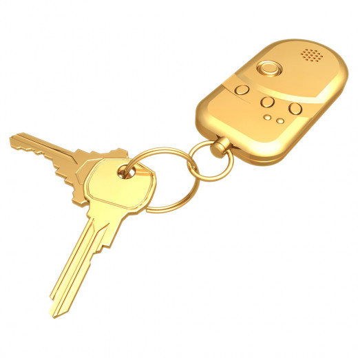 car remote