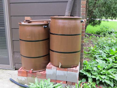 water barrels / butts linked together