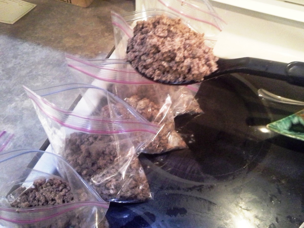 Step Fifteen: Then spoon out another full spoonful into each bag, setting them on end to the side as you fill them