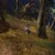 Down the middle path there will be harpies and harpy nests you'll have to fight through. Down the middle path there will be harpies and harpy nests you'll have to fight through.