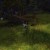 Entrance is kinda hidden back in the hill, but you can see the door and guarding bandits. Focus the Saboteur first. Entrance is kinda hidden back in the hill, but you can see the door and guarding bandits. Focus the Saboteur first.