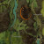Run to cave Run to cave