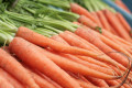 Harvesting Carrots From Your Own Backyard