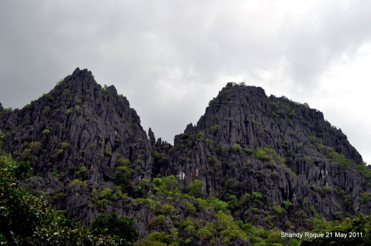 The black formations that lined the river.