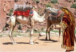 ELIEZER BROUGHT 10 CAMELS TO MESOPOTAMIA, CITY OF NAHOR