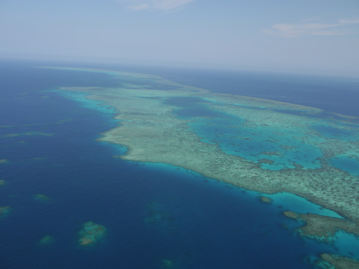 The Great Barrier Reef 