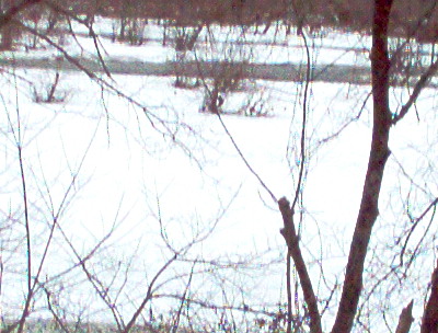 Rappahannock River on January 28. 2014 in the same location.  The river flows through the snow cover.