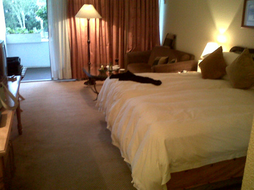 Check into a popular hotel