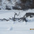 So many snow scenes to be photographed. So many snow scenes to be photographed.