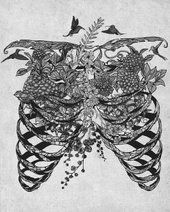 Lungs:  A Poem
