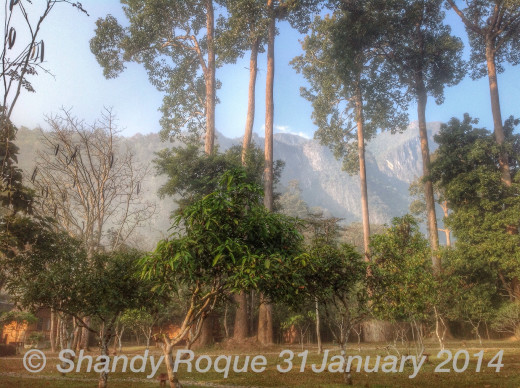 Chiang Dao Nest 1