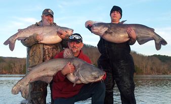 Dan, Johnny and Cody with some nice big blue catfish from Lake Guntersville!